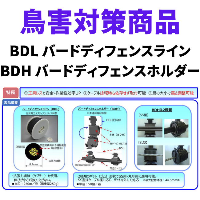 BDH_BDL